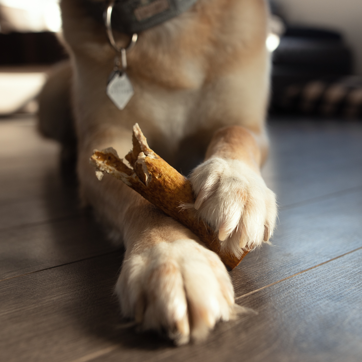 Dental chew bone for dog